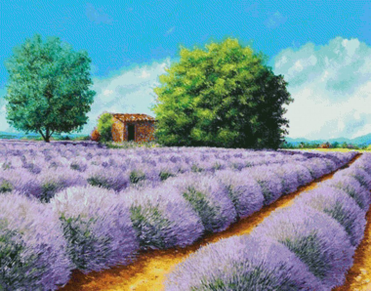 №2064641 - предпросмотр