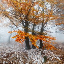 Схема вышивки «Осень...Скоро зима.....»