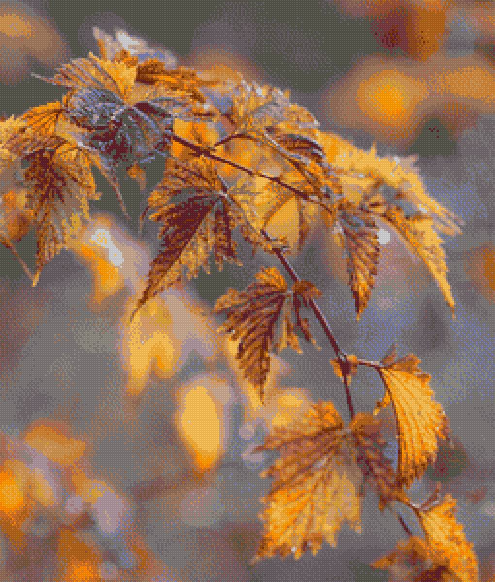 Осенние листья. - ветка, осень, желтые листья. - предпросмотр