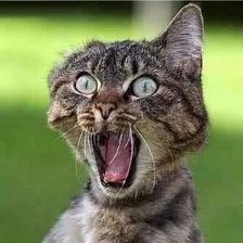 Схема вышивки «№2064787»