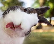 Схема вышивки «№2064808»