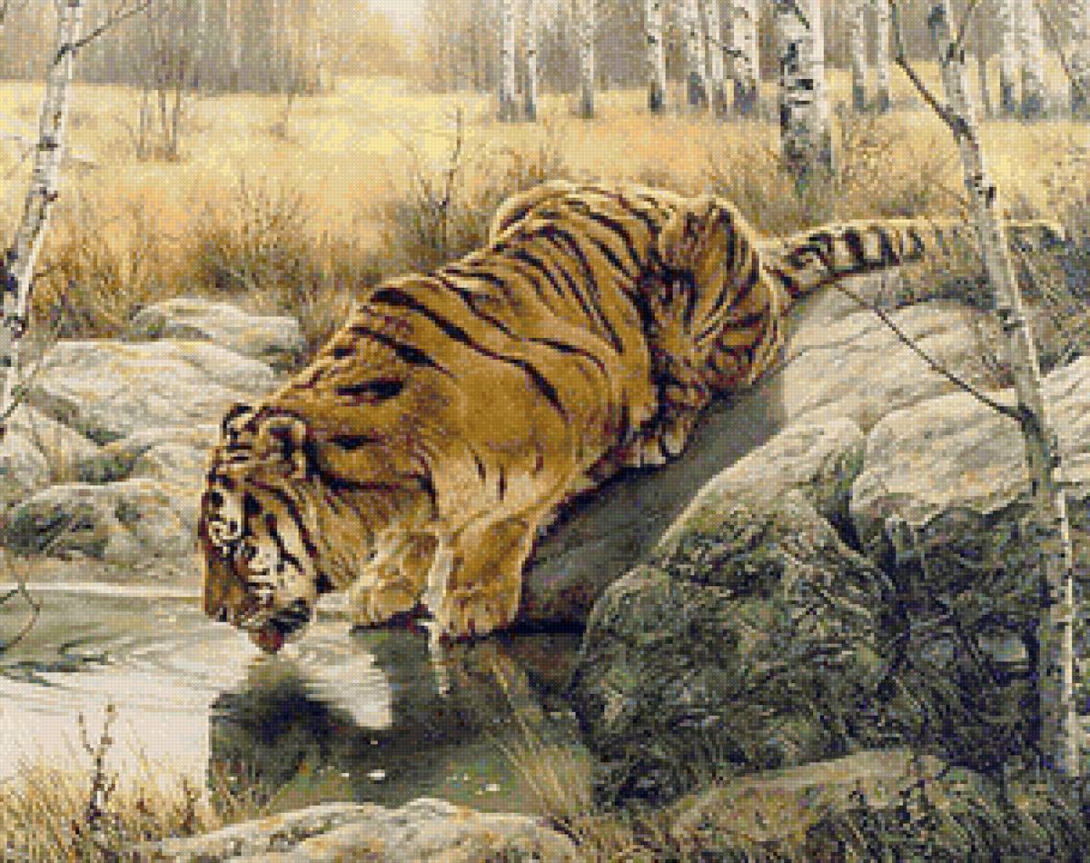 Жажда - тайга, лес, тигр, ручей - предпросмотр