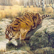 Схема вышивки «Жажда»