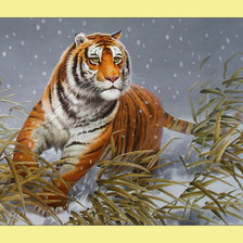 Схема вышивки «Тигр.»