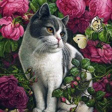 Схема вышивки «Котик и розы»