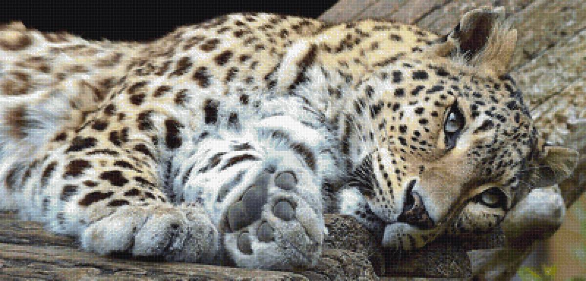 №2065292 - предпросмотр