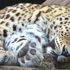 Схема вышивки «№2065292»