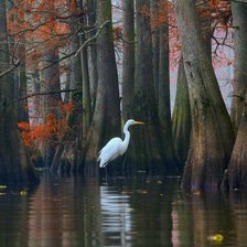 Схема вышивки «№2065353»