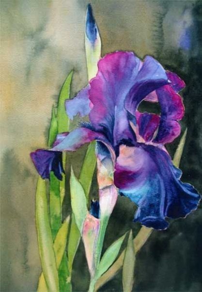 ирис - букет, ирис, цветы, ирисы - оригинал