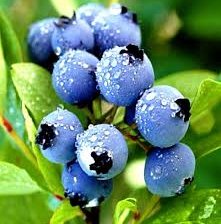 Схема вышивки «№2065384»