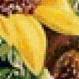 Предпросмотр схемы вышивки «slnecnice» (№2065417)