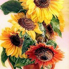 Схема вышивки «slnecnice»