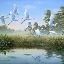 Схема вышивки «№2065421»