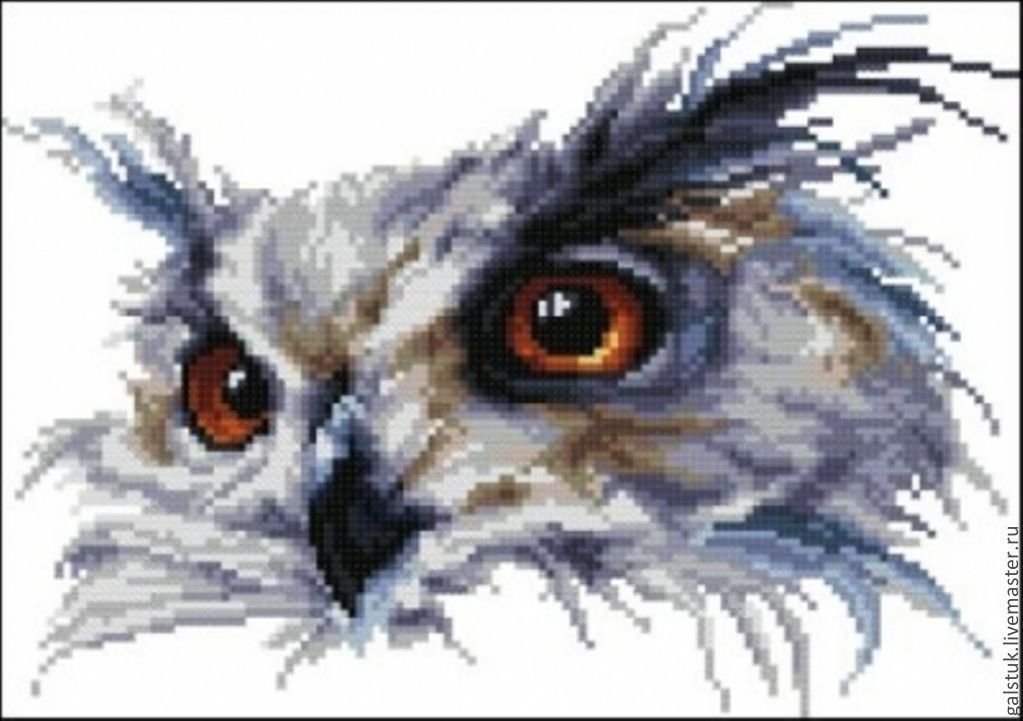 Совуля - сова - оригинал