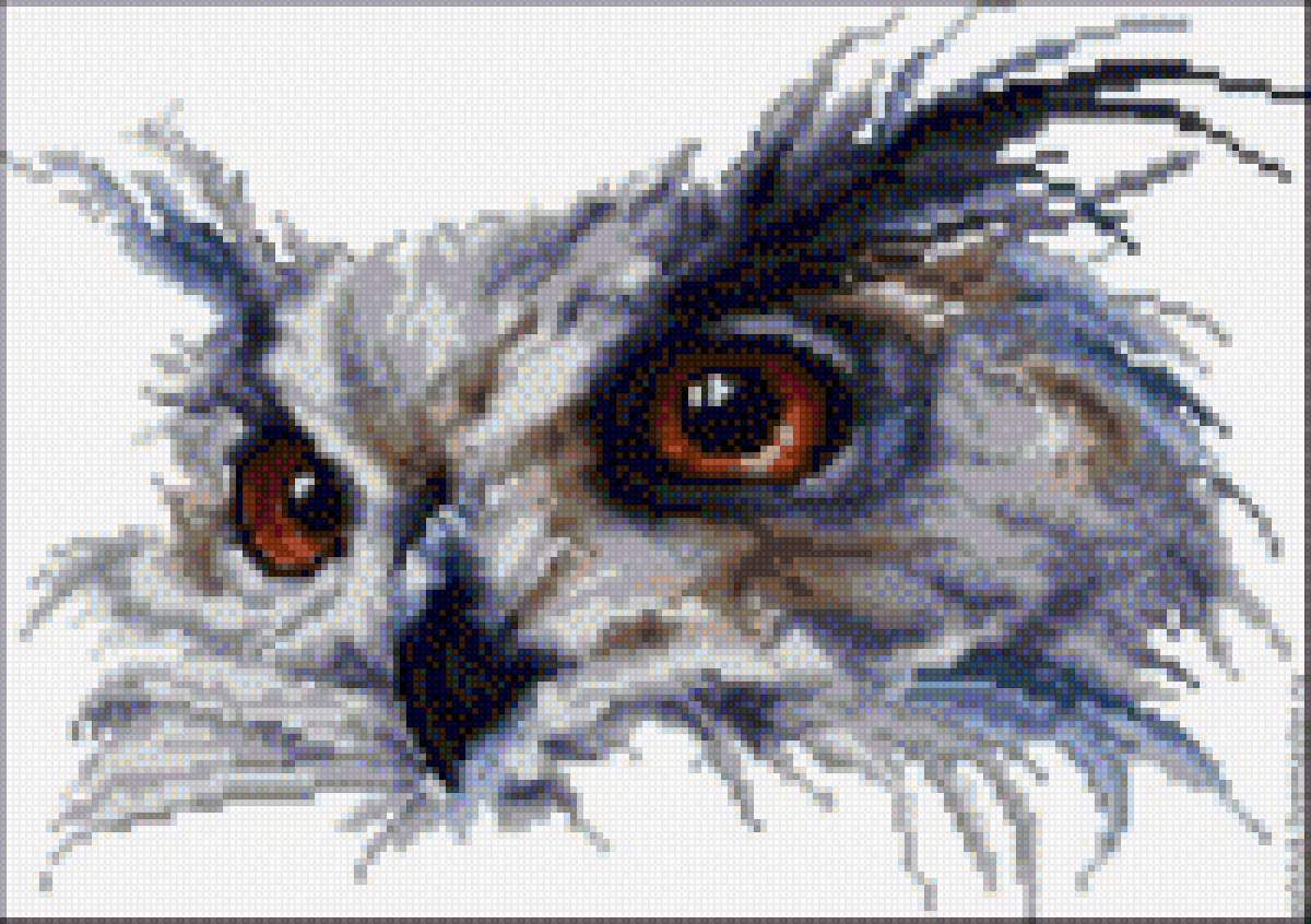 Совуля - сова - предпросмотр