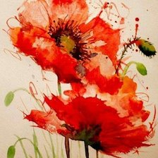 Схема вышивки «маки»