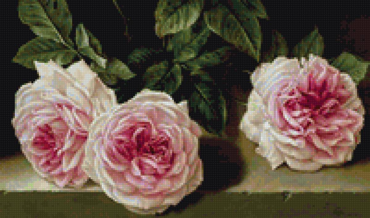 ХосеЭскофет - пышный букет, розы - предпросмотр