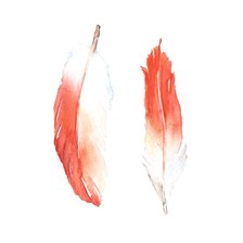 Схема вышивки «Перья»