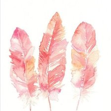 Схема вышивки «Перья»