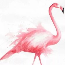 Схема вышивки «Фламинго диптих»