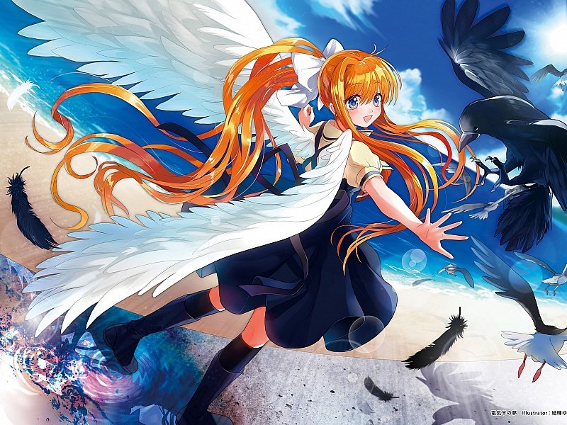 №2066084 - оригинал