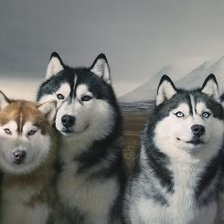 Схема вышивки «№2066112»