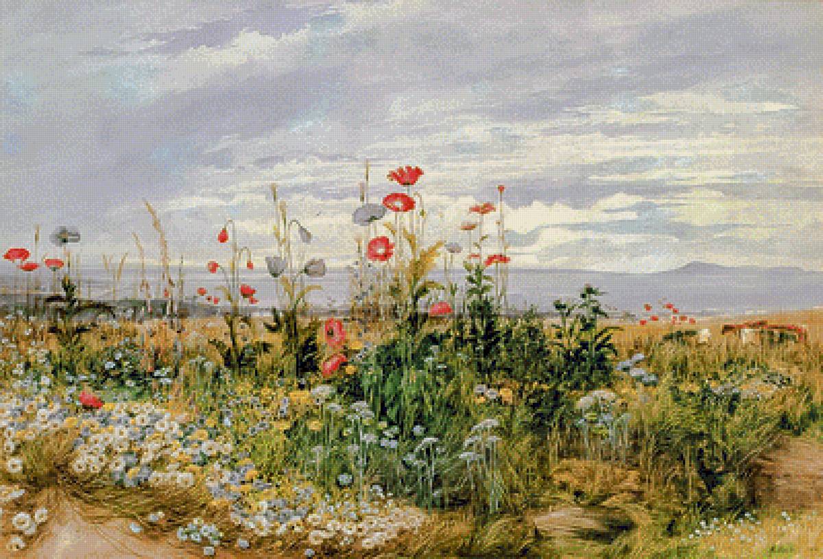 Wildflowers with a View of Dublin Dunleary. - andrew nicholl painter.seascapes.flowers and gardens. - предпросмотр