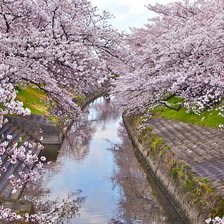 Схема вышивки «№2066252»