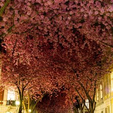 Схема вышивки «№2066293»