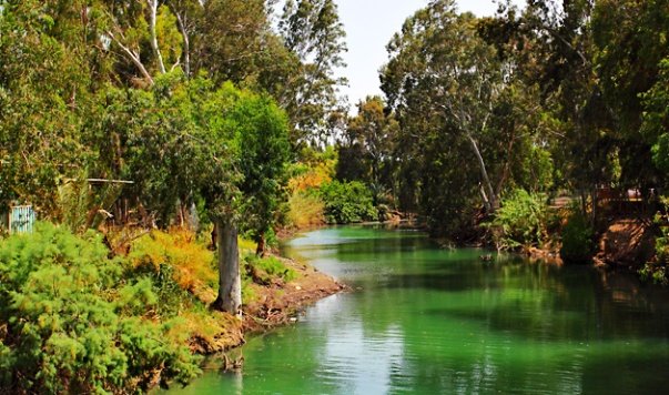 №2066389 - оригинал