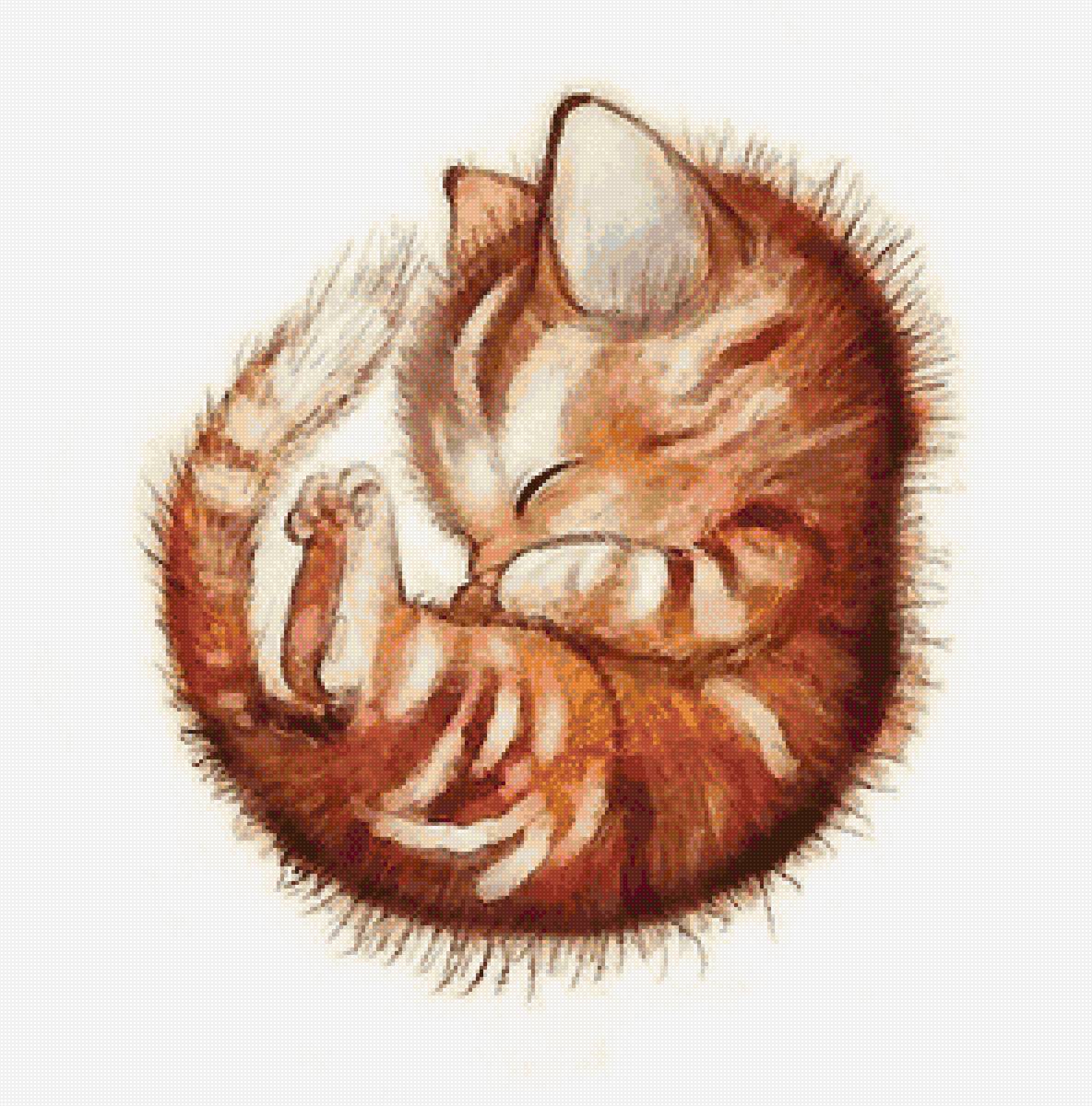 котёнок - котенок - предпросмотр