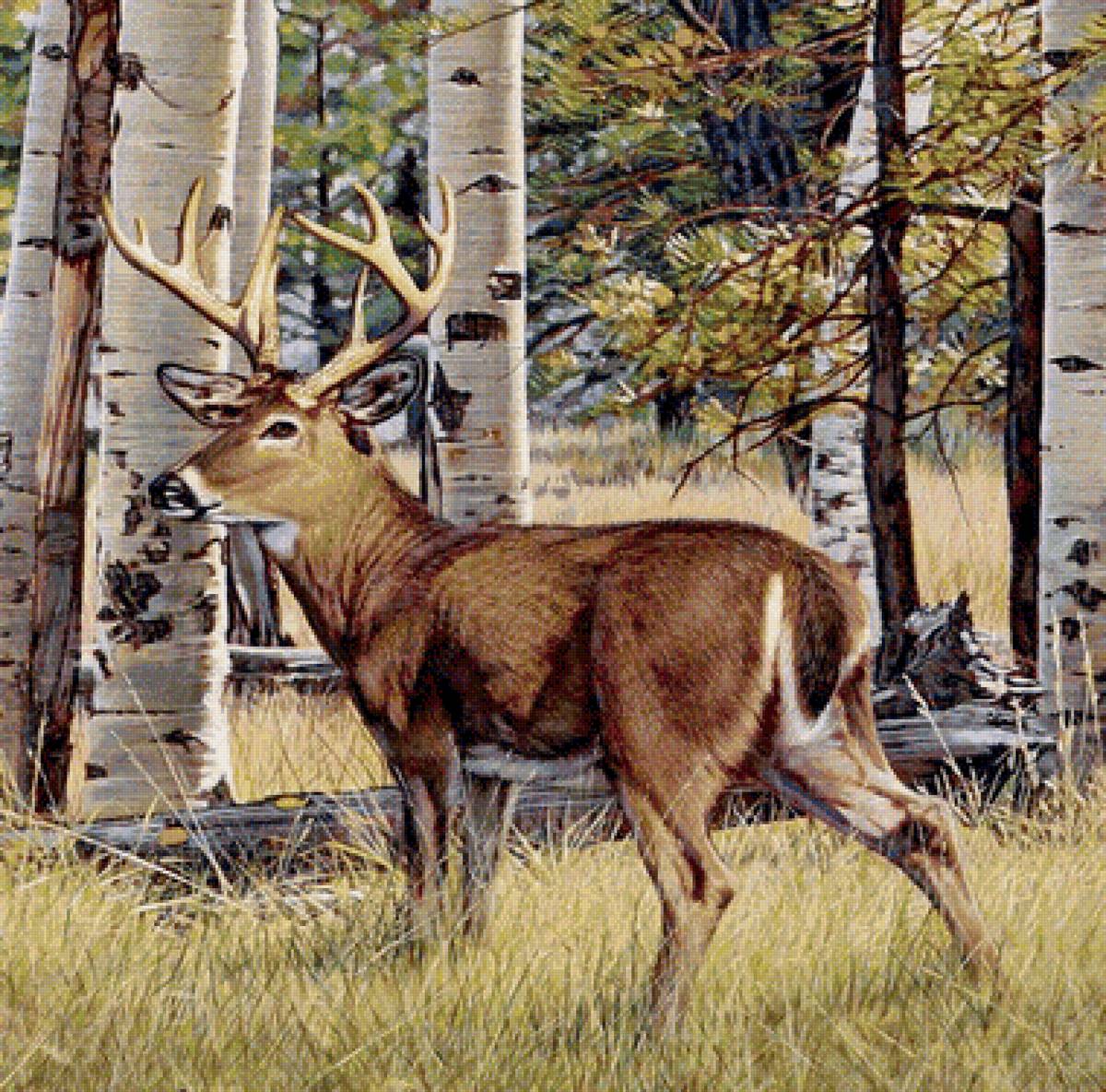 Олень - предпросмотр