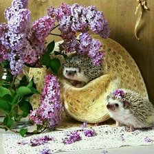 Схема вышивки «Ежики»