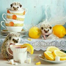 Схема вышивки «Ежики»