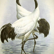 Схема вышивки «Журавли»