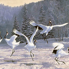 Схема вышивки «Журавлиные танцы»