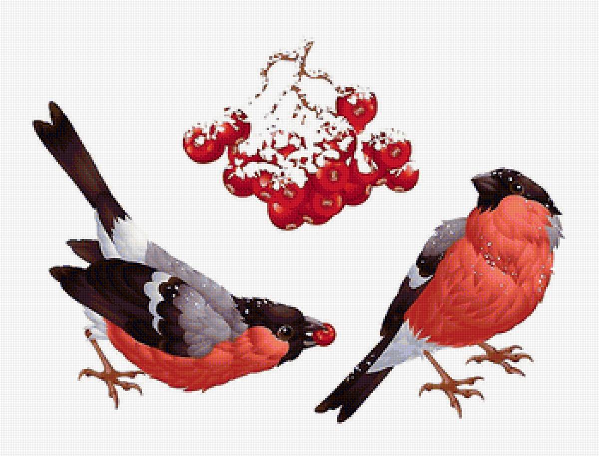 №2066950 - предпросмотр