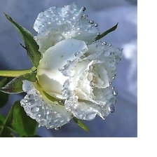 Схема вышивки «№2067963»