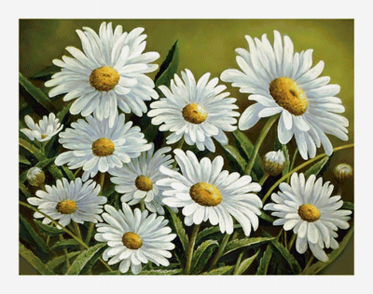Ромашки. - живопись, ромашки, цветы - предпросмотр