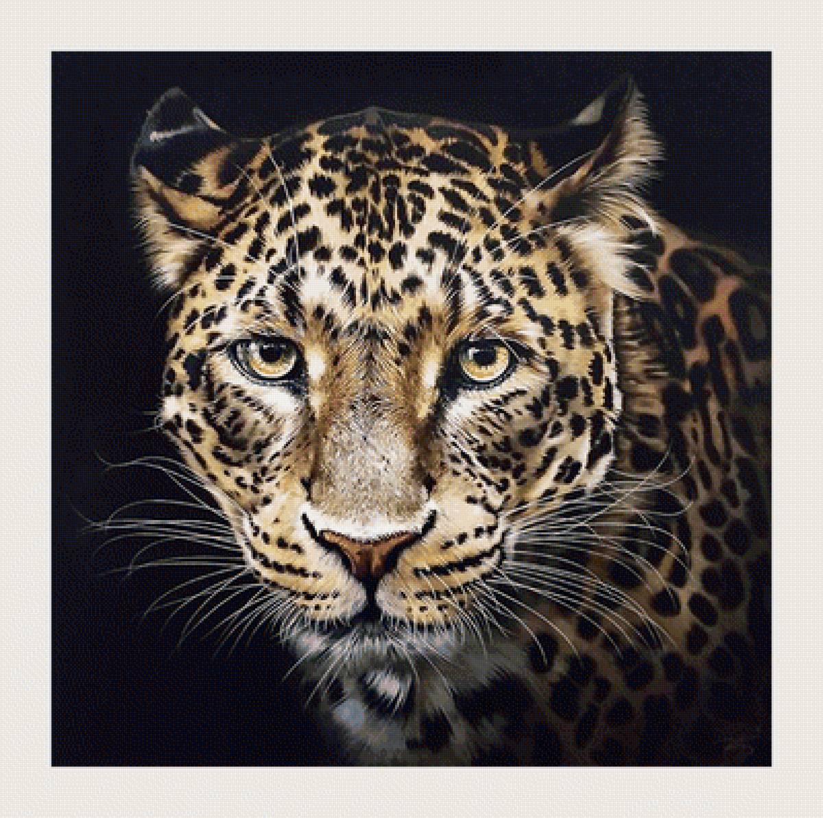 №2068069 - животные, хищники - предпросмотр