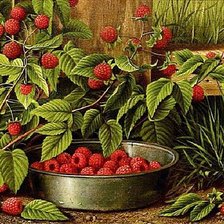 Схема вышивки «урожай»