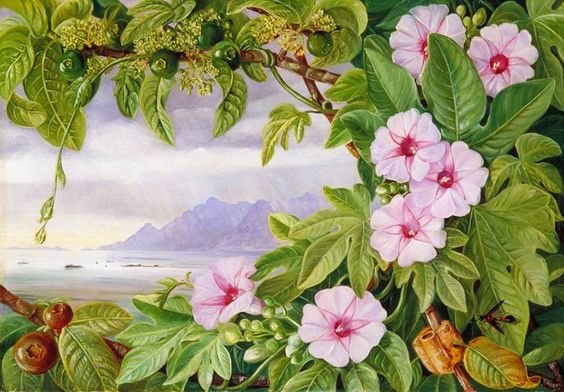 цветы - оригинал