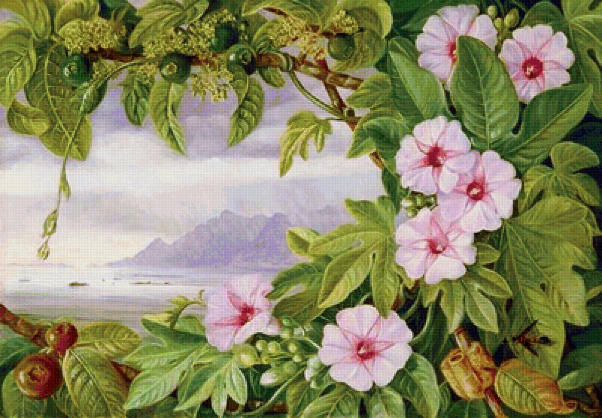 цветы - предпросмотр