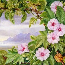 Схема вышивки «цветы»