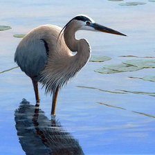 Схема вышивки «Худ.Бен Массенбург Цапля»