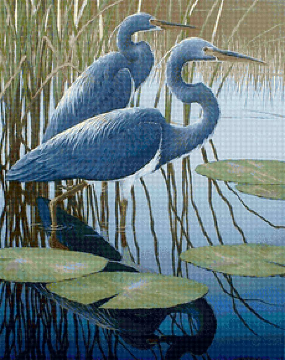 №2068165 - цапли. болото - предпросмотр