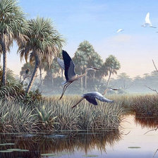 Схема вышивки «Худ. Бен Массенбуррг Цапли в полете»