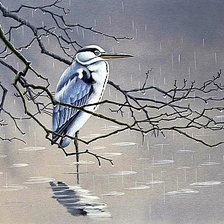 Схема вышивки «Под дождём»