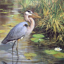 Схема вышивки «№2068202»