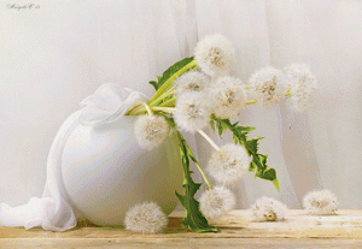 Одуванчики - предпросмотр